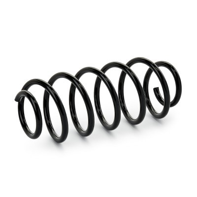 Suspension Spring RIDEX 188C1329 188C1329 - photo 3