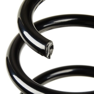 Suspension Spring RIDEX 188C0877 188C0877 - photo 4
