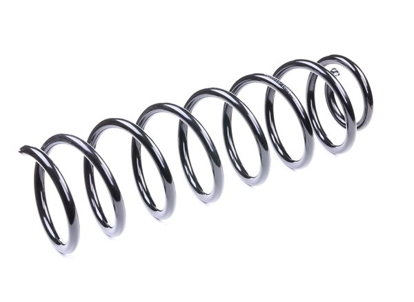 Suspension Spring RIDEX 188C0070 188C0070 - photo 1