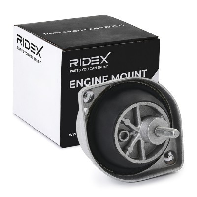 Engine Mounting RIDEX 247E0717 247E0717 - photo 2