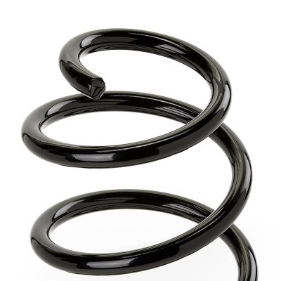 Suspension Spring RIDEX 188C1042 188C1042 - photo 3
