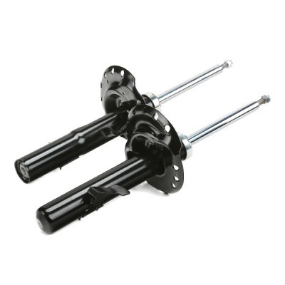 Shock Absorber RIDEX 854S2559 854S2559 - photo 4