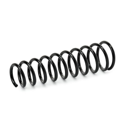 Suspension Spring RIDEX 188C0701 188C0701 - photo 3
