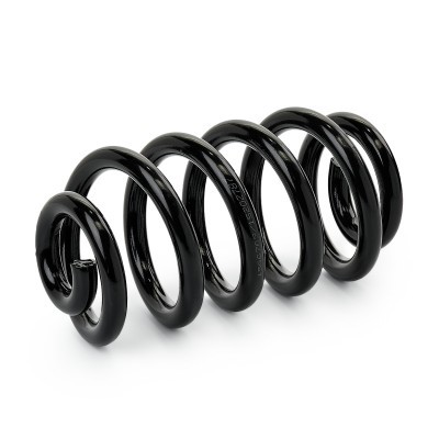 Suspension Spring RIDEX 188C1178 188C1178 - photo 3