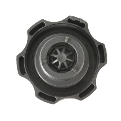 Cap, Radiator RIDEX 56V0006 56V0006 - photo 6