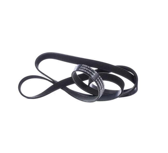 V-Ribbed Belt Stark SK-6PK2255 SK-6PK2255 - photo 1