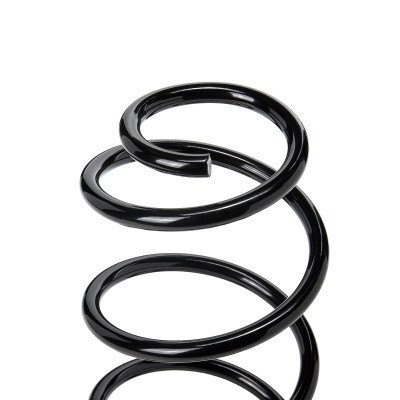 Suspension Spring RIDEX 188C0572 188C0572 - photo 3