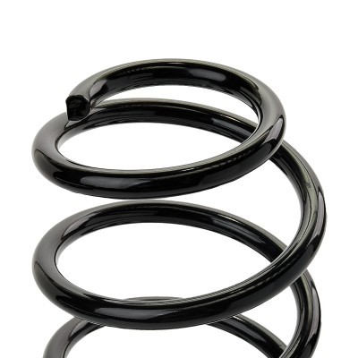 Suspension Spring RIDEX 188C1329 188C1329 - photo 4