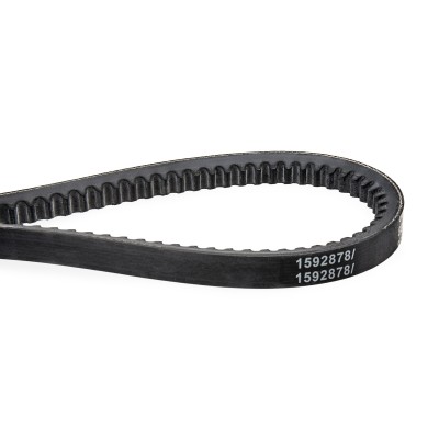 V-Belt RIDEX 10C0018 10C0018 - photo 4