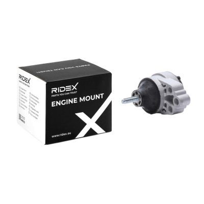Engine Mounting RIDEX 247E0250 247E0250 - photo 2