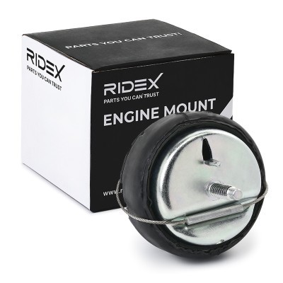 Engine Mounting RIDEX 247E0513 247E0513 - photo 2