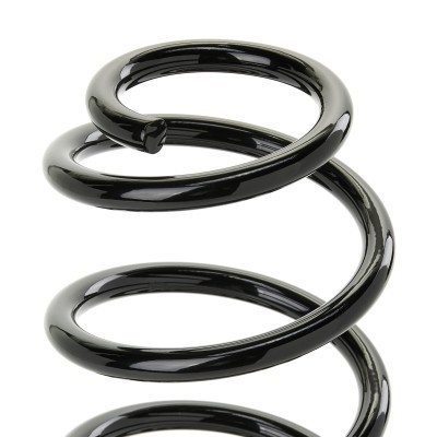 Suspension Spring RIDEX 188C0868 188C0868 - photo 6