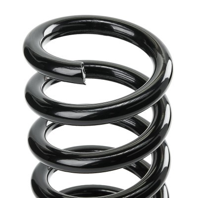Suspension Spring RIDEX 188C0801 188C0801 - photo 4