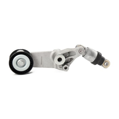 Belt Tensioner V-Ribbed Belt RIDEX 310T0252 310T0252 - photo 5
