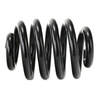 Suspension Spring RIDEX 188C0526 188C0526 - photo 3