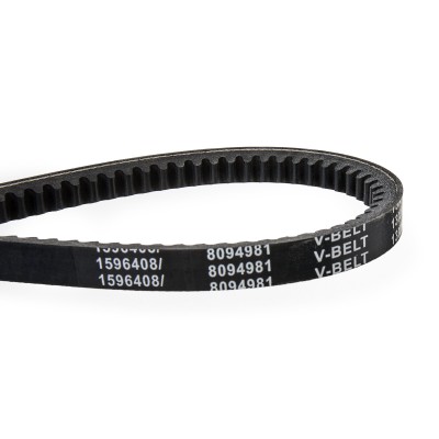 V-Belt RIDEX 10C0043 10C0043 - photo 4