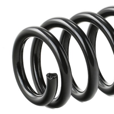 Suspension Spring RIDEX 188C0489 188C0489 - photo 4