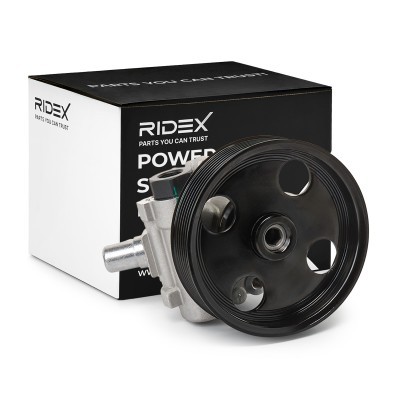 Hydraulic Pump, Steering System RIDEX 12H0048 12H0048 - photo 2