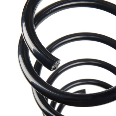 Suspension Spring RIDEX 188C0013 188C0013 - photo 4