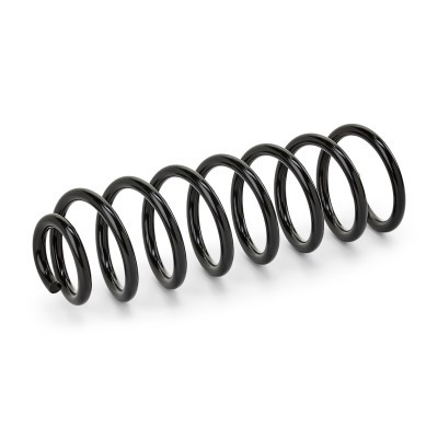Suspension Spring RIDEX 188C0031 188C0031 - photo 4