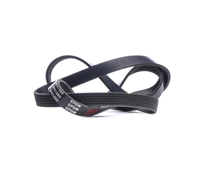 V-Ribbed Belt Stark SK-6PK1560 SK-6PK1560 - photo 1