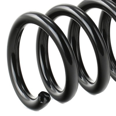 Suspension Spring RIDEX 188C0442 188C0442 - photo 4