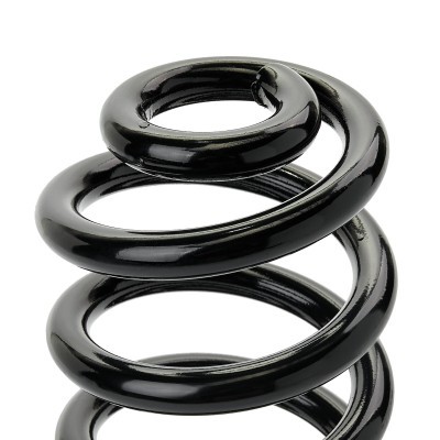 Suspension Spring RIDEX 188C1178 188C1178 - photo 4