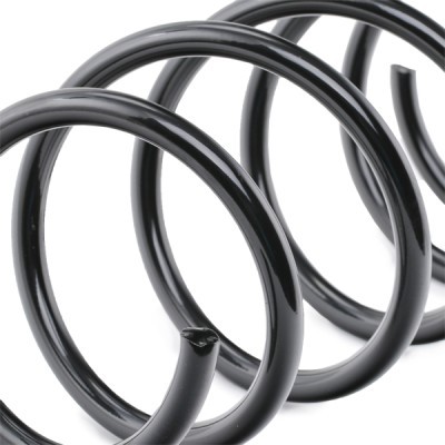 Suspension Spring RIDEX 188C0068 188C0068 - photo 4