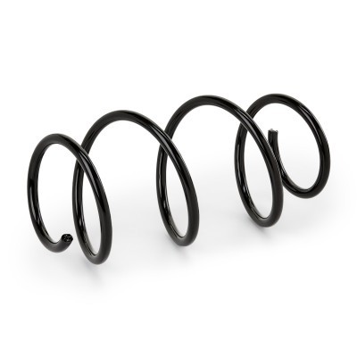 Suspension Spring RIDEX 188C3481 188C3481 - photo 2
