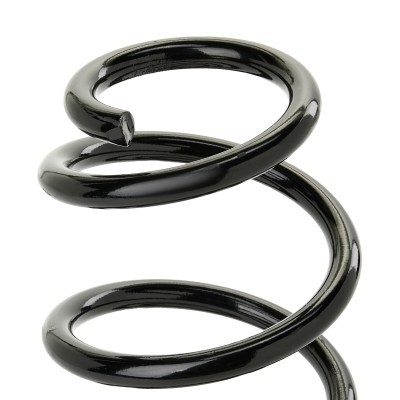 Suspension Spring RIDEX 188C1261 188C1261 - photo 5