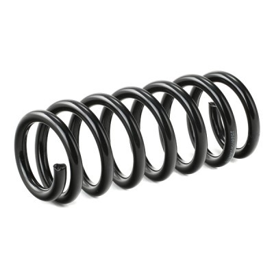 Suspension Spring RIDEX 188C0489 188C0489 - photo 2