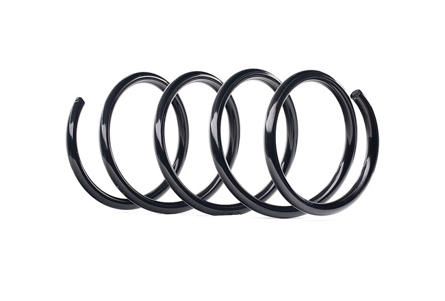 Suspension Spring RIDEX 188C0122 188C0122 - photo 1