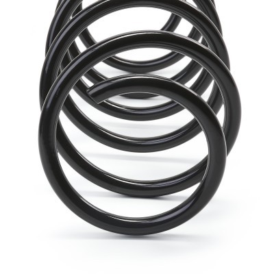 Suspension Spring RIDEX 188C0088 188C0088 - photo 4
