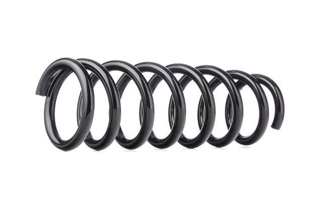 Suspension Spring RIDEX 188C0421 188C0421 - photo 1