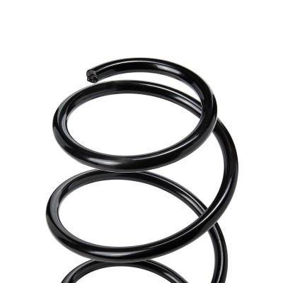 Suspension Spring RIDEX 188C2229 188C2229 - photo 3