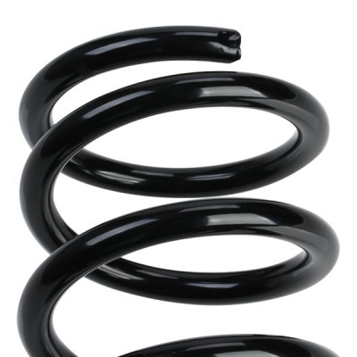 Suspension Spring RIDEX 188C0300 188C0300 - photo 4