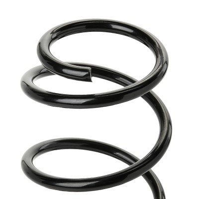 Suspension Spring RIDEX 188C1807 188C1807 - photo 3
