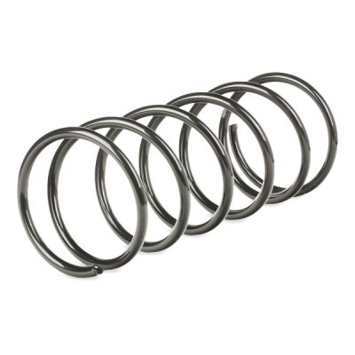 Suspension Spring RIDEX 188C0177 188C0177 - photo 3