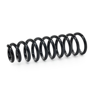 Suspension Spring RIDEX 188C0863 188C0863 - photo 2