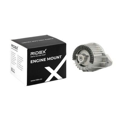 Engine Mounting RIDEX 247E0118 247E0118 - photo 2