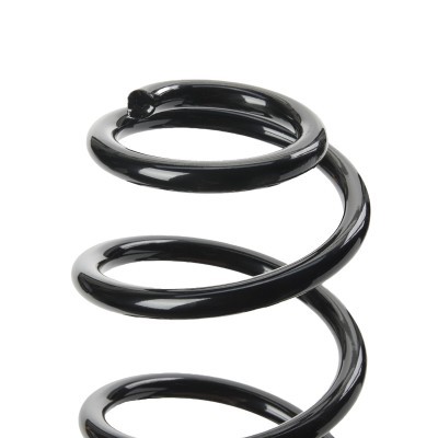 Suspension Spring RIDEX 188C1061 188C1061 - photo 4