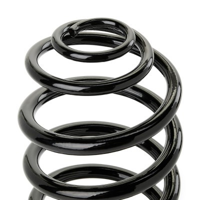 Suspension Spring RIDEX 188C1855 188C1855 - photo 3