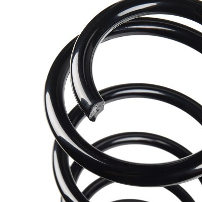 Suspension Spring RIDEX 188C0598 188C0598 - photo 3