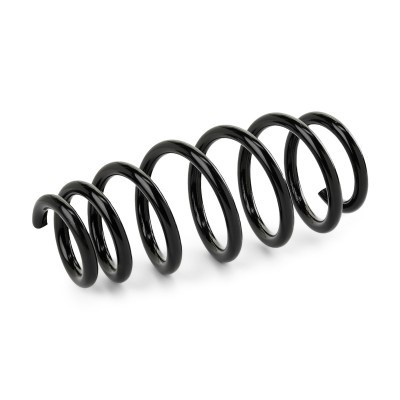 Suspension Spring RIDEX 188C0724 188C0724 - photo 2