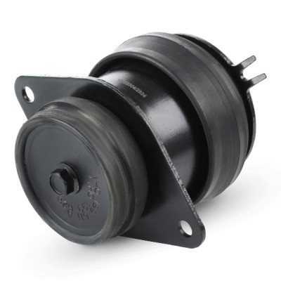 Engine Mounting RIDEX 247E0201 247E0201 - photo 3