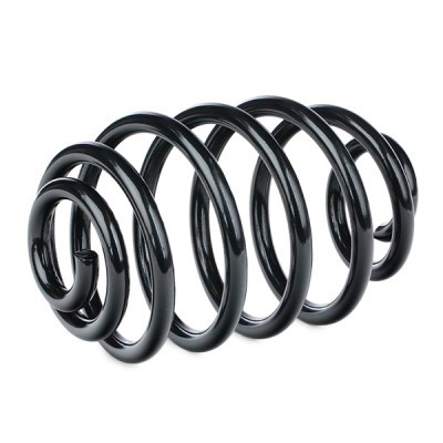 Suspension Spring RIDEX 188C0120 188C0120 - photo 3