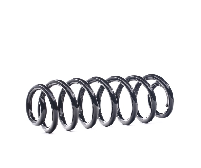 Suspension Spring RIDEX 188C0732 188C0732 - photo 1