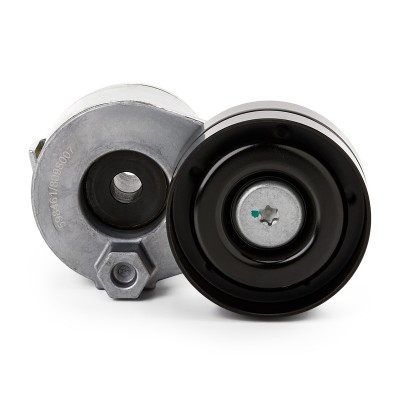 Belt Tensioner V-Ribbed Belt RIDEX 310T0040 310T0040 - photo 6