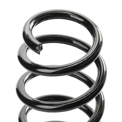 Suspension Spring RIDEX 188C0921 188C0921 - photo 4