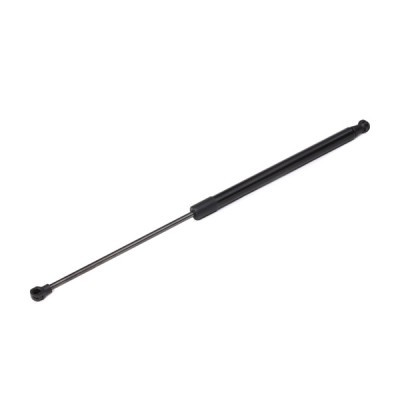 Bonnet Gas RIDEX 1207G0005 1207G0005 - photo 2